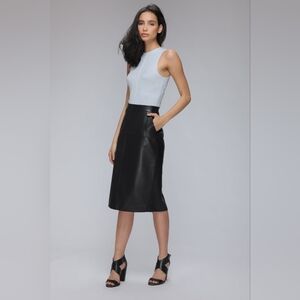 Danier Leather Soraya Elegant Black Pencil Skirt